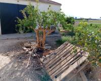 Venta - Finca - Dolores - 03150