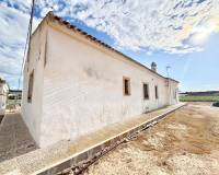 Venta - Finca - San Pedro del Pinatar - Las Beatas