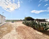 Venta - Finca - San Pedro del Pinatar - Las Beatas