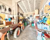 Venta - Finca - San Pedro del Pinatar - Las Beatas