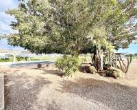 Venta - Finca - San Pedro del Pinatar - Las Beatas