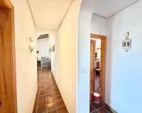 Venta - Finca - San Pedro del Pinatar - Las Beatas