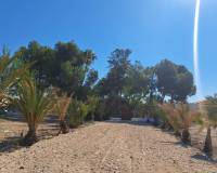 Venta - Villa / Semi separado - Orihuela