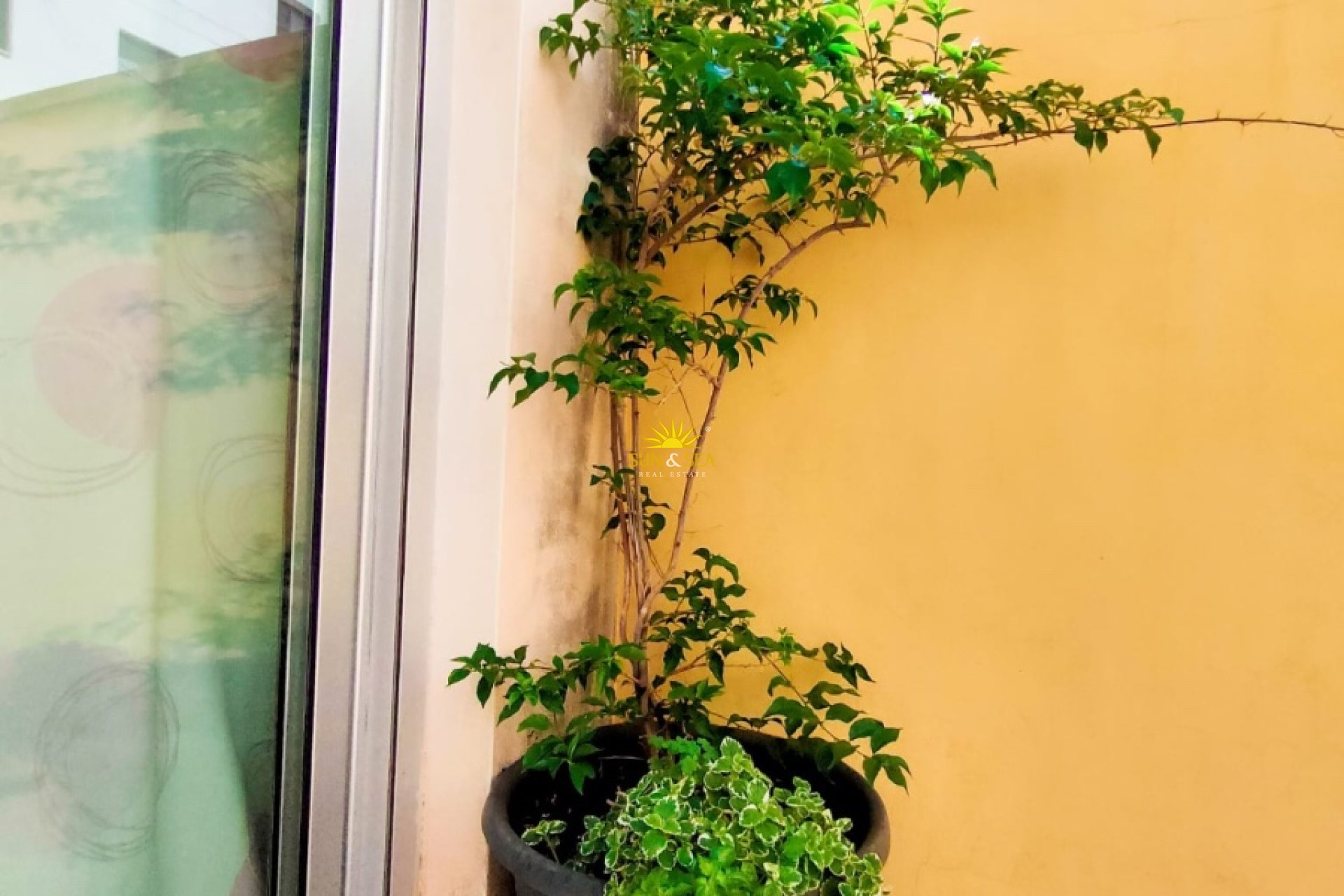 Verhuur Korte Termijn - Appartement - Alicante (Alacant)