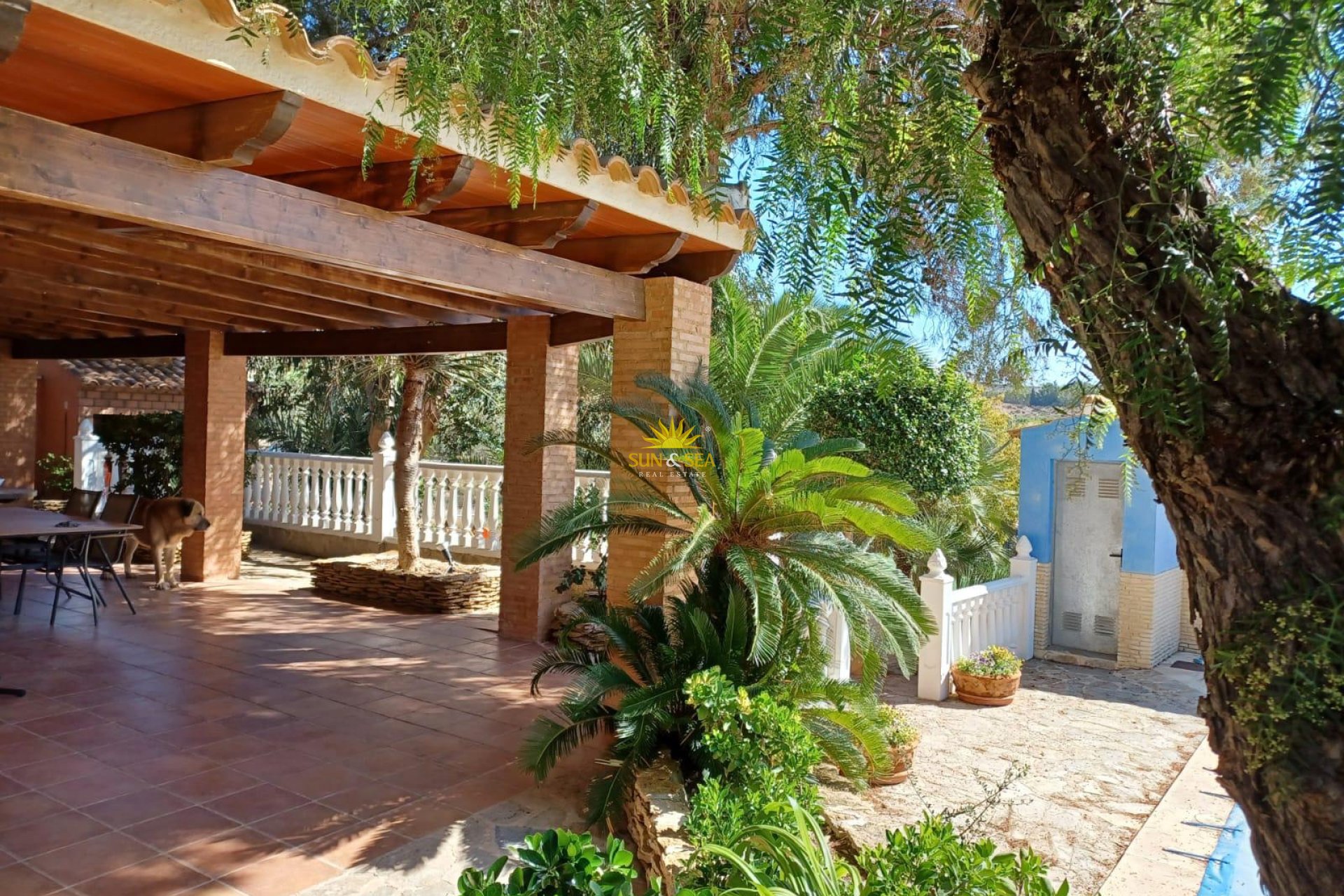 Verhuur Korte Termijn - Villa - Molina De Segura - 
