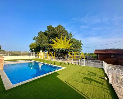 Villa - Long time Rental - Algorfa - RENT-1034R