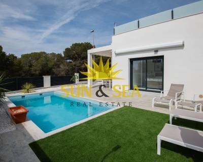 Villa - Nouvelle construction - Pinar de Campoverde - SS00-154MG