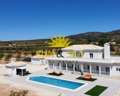 Villa - Nouvelle construction - Pinoso - NB-94901