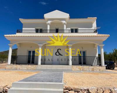 Villa - Новое строительство - Pinoso - NB-24429