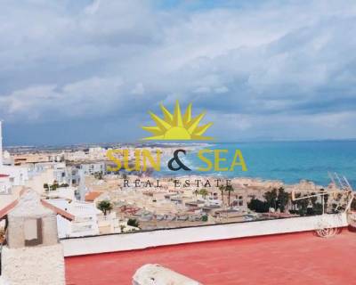 Villa - Resale - Torrevieja - SS00-160B