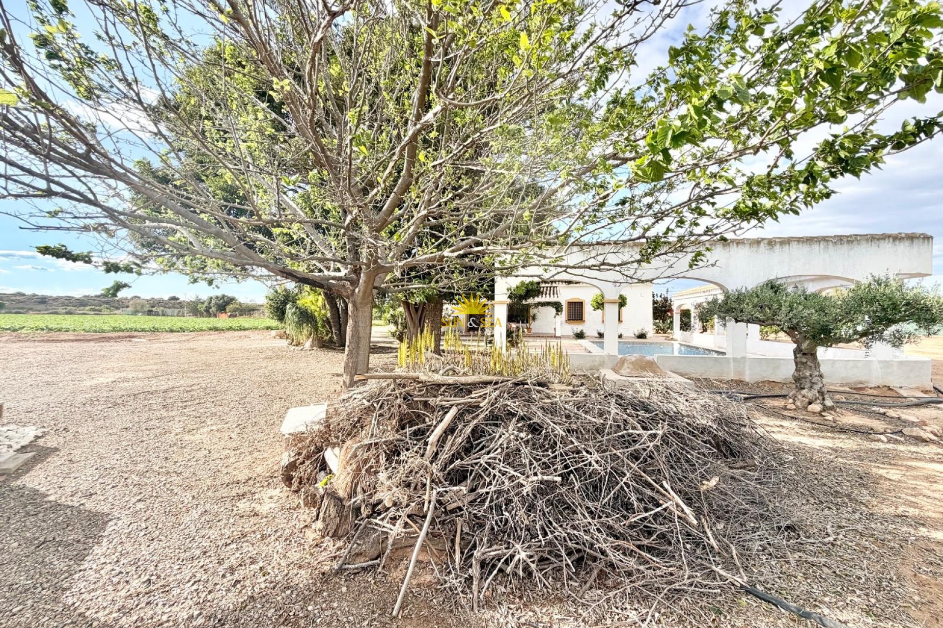 Wiederverkauf - Finca - San Pedro del Pinatar - 