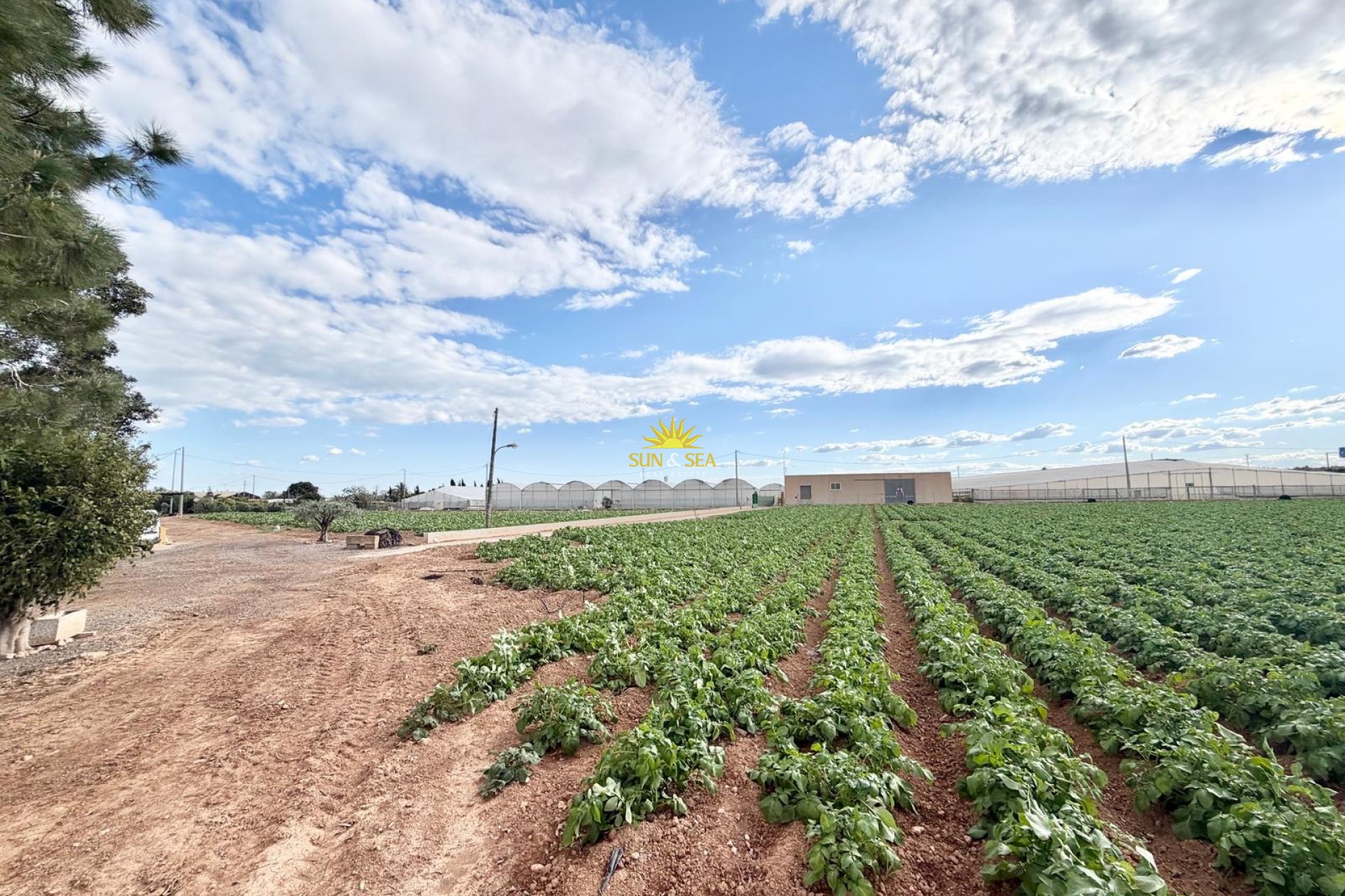 Wiederverkauf - Finca - San Pedro del Pinatar - 