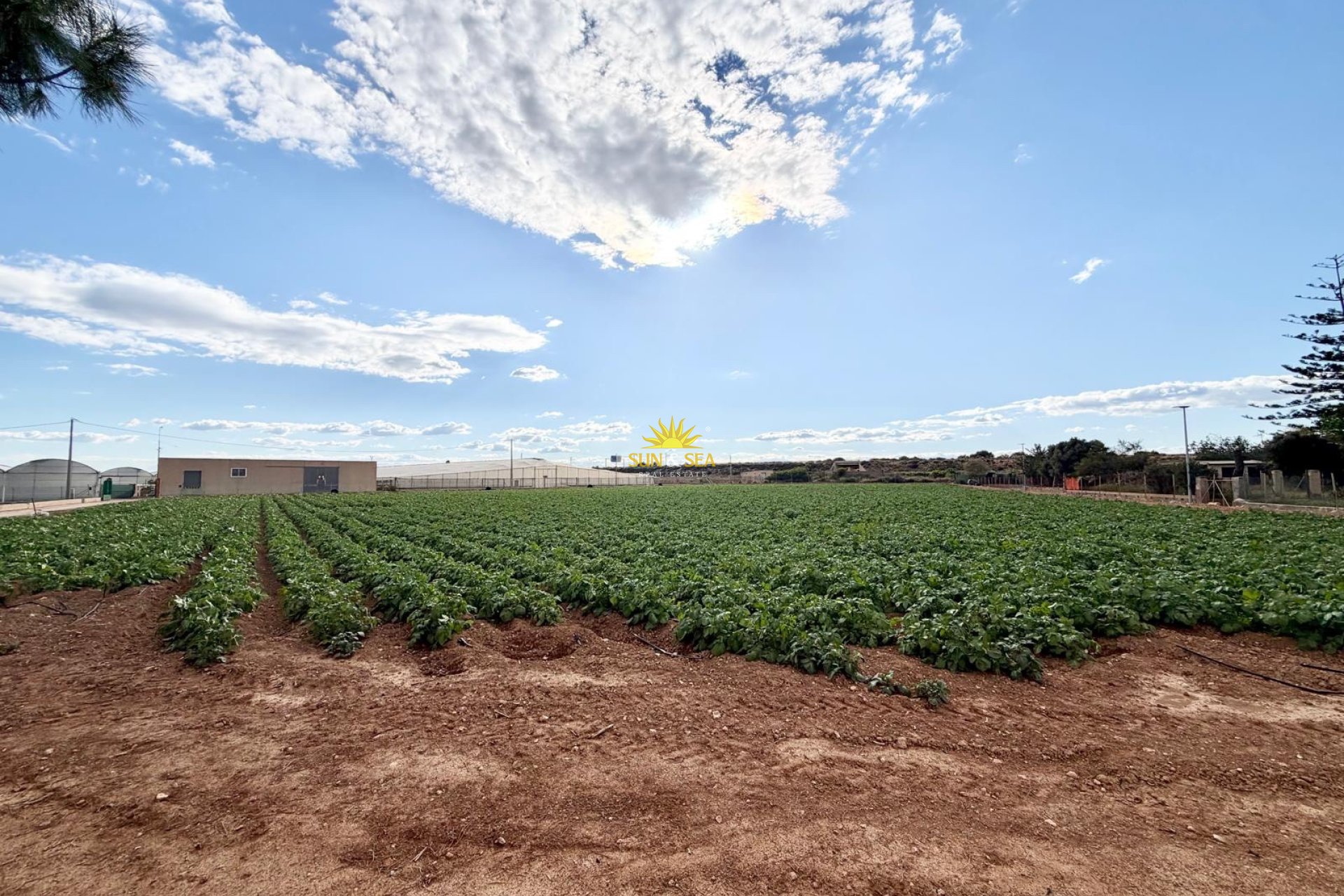 Wiederverkauf - Finca - San Pedro del Pinatar - 