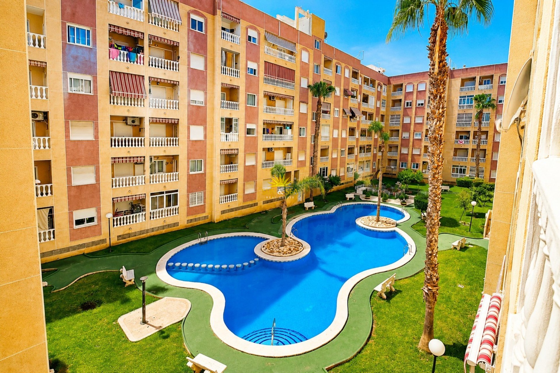 Wiederverkauf - Studio apartment - Torrevieja - Acequion