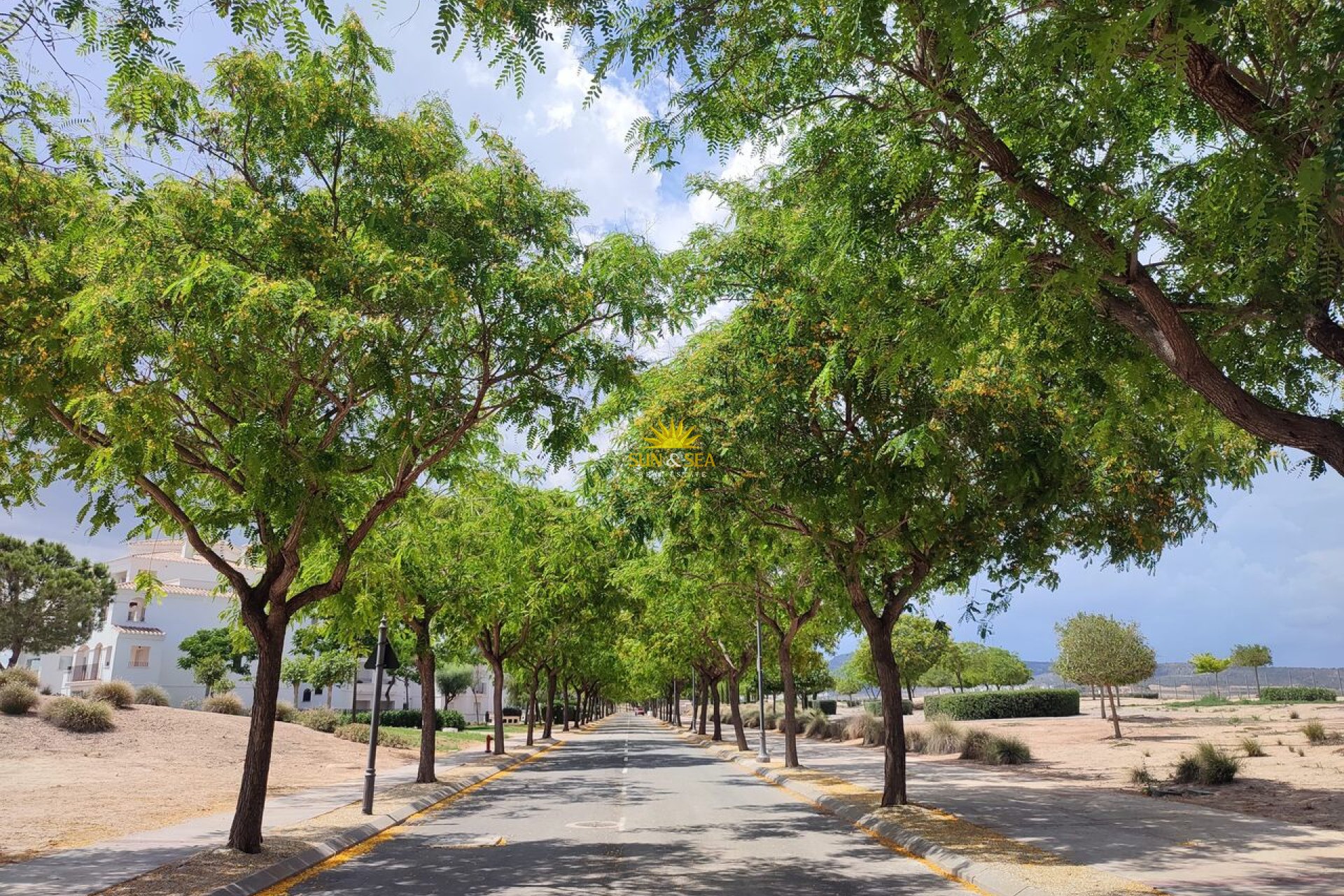 Wiederverkauf - Wohnung - Hacienda Riquelme Golf Resort