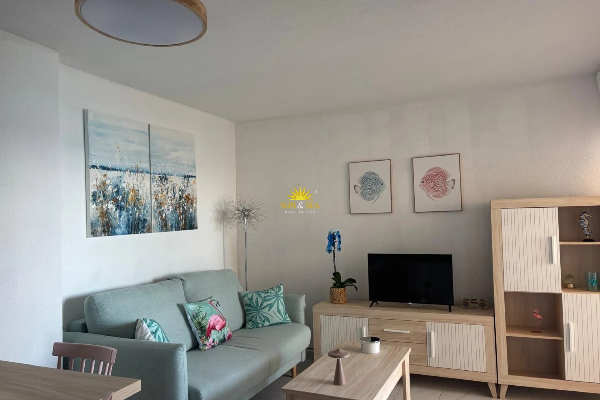Winter rental - Apartment - Torrevieja - Centro