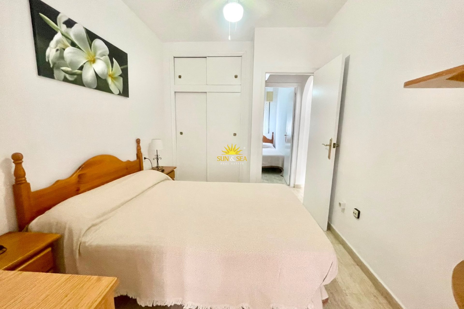 Winter rental - Apartment - Torrevieja - Curva del Palangre