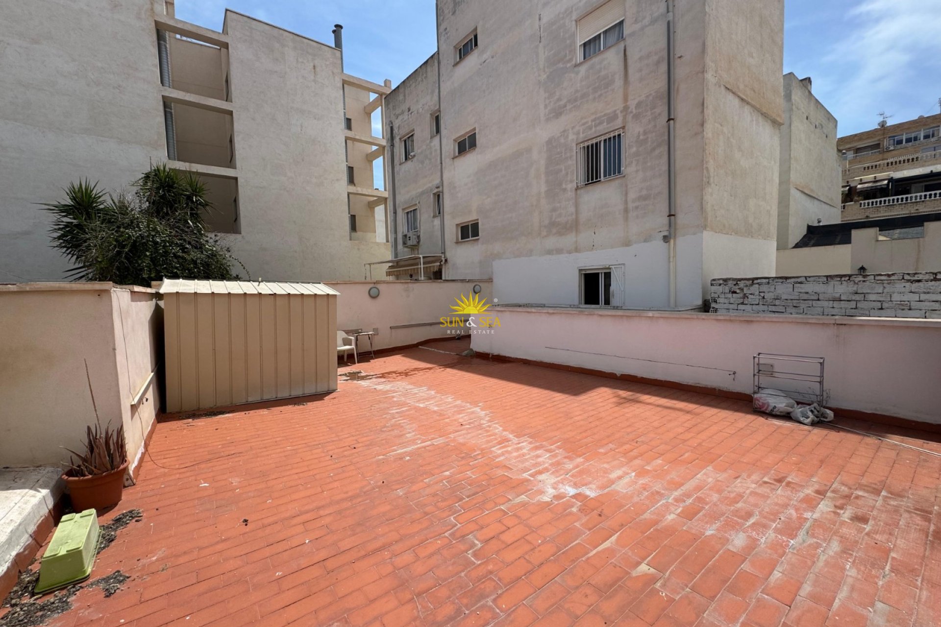 Зимняя аренда - Studio apartment - Torrevieja - torrevieja