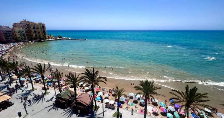 Summer Cinema in Torrevieja: two nights of free screenings at Playa del Cura and La Mata