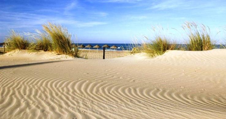 Vega Baja del Segura: Over 40 Kilometers of Coastline and a Thousand Ways to Enjoy an Unforgettable Summer