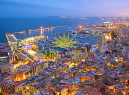 Foreign Investments in the Province of Alicante