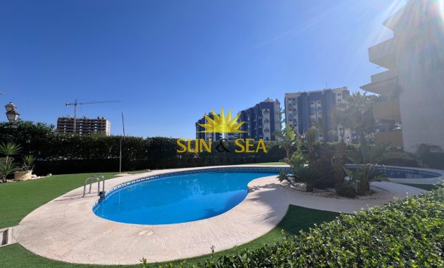 Long Term Rental - Apartment - Torrevieja - Punta prima