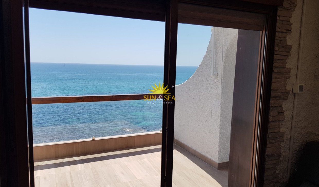 Alquiler de invierno - Apartamento - Torrevieja - torrevieja