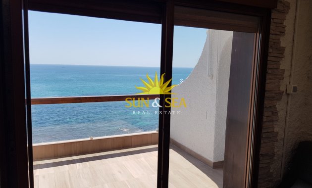 Alquiler de invierno - Apartamento - Torrevieja - torrevieja