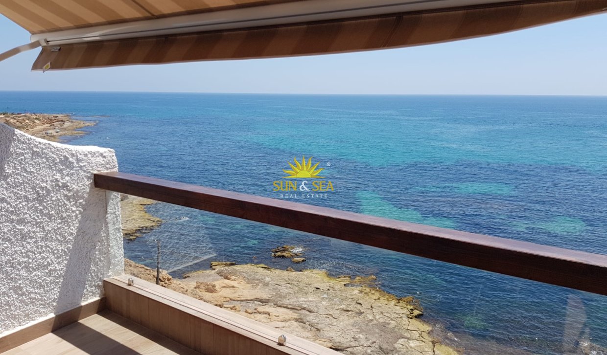 Alquiler de invierno - Apartamento - Torrevieja - torrevieja