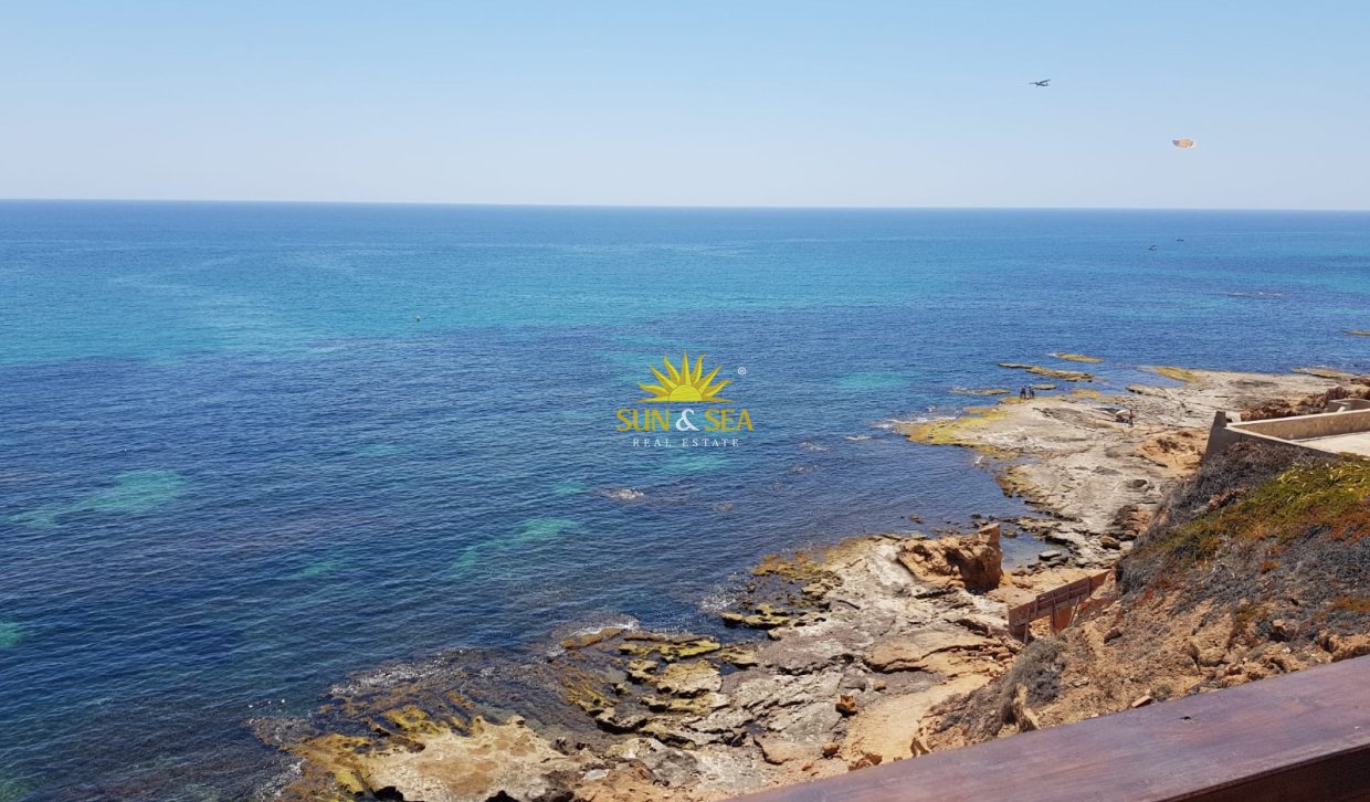 Alquiler de invierno - Apartamento - Torrevieja - torrevieja