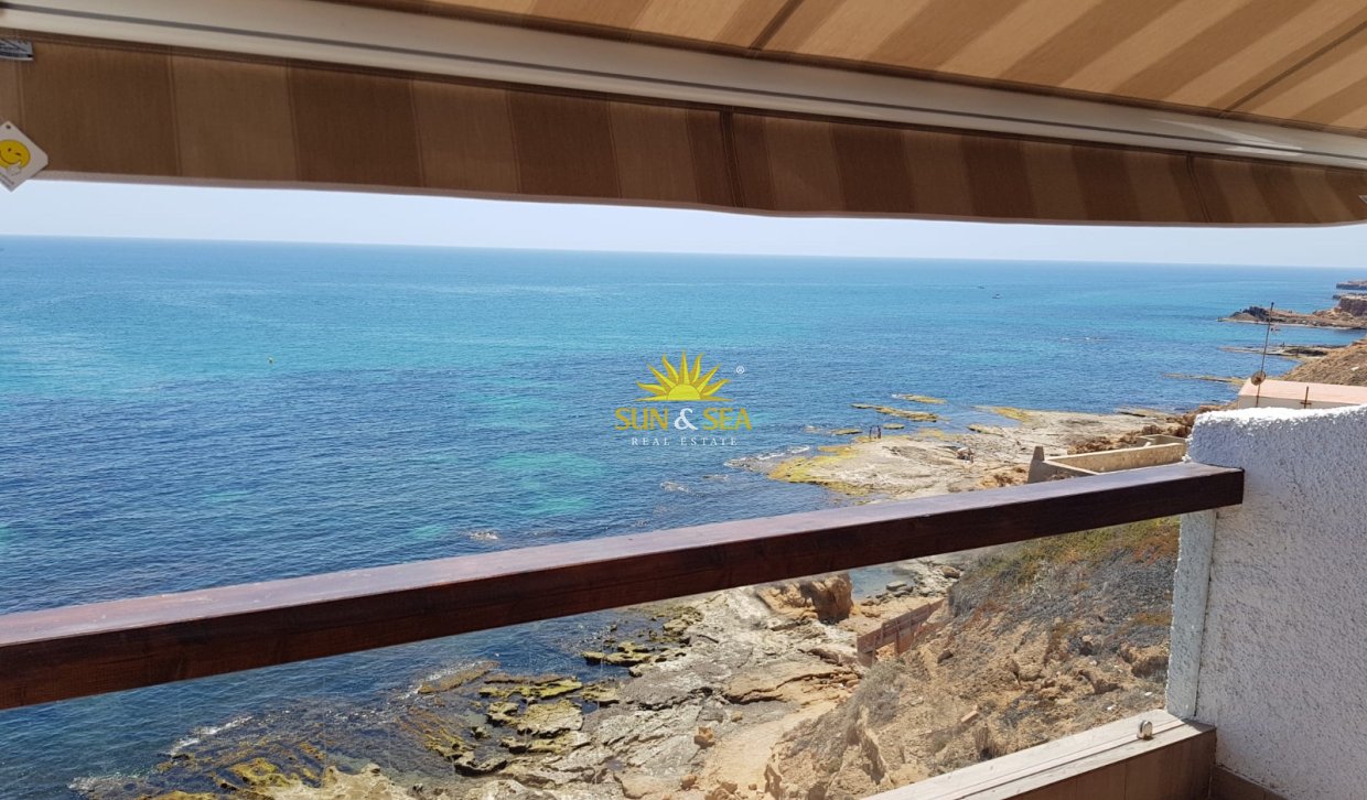 Alquiler de invierno - Apartamento - Torrevieja - torrevieja