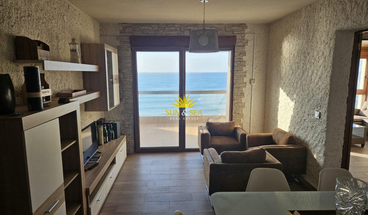 Alquiler de invierno - Apartamento - Torrevieja - torrevieja