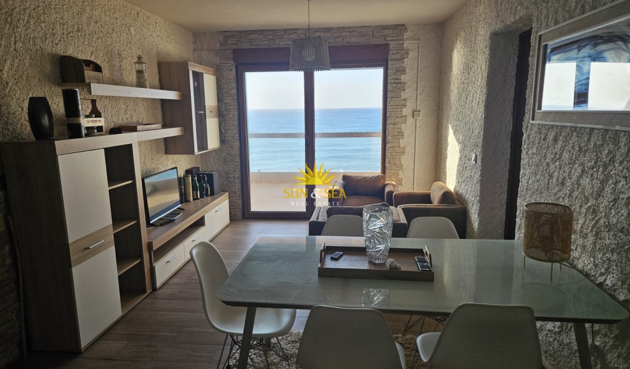 Alquiler de invierno - Apartamento - Torrevieja - torrevieja