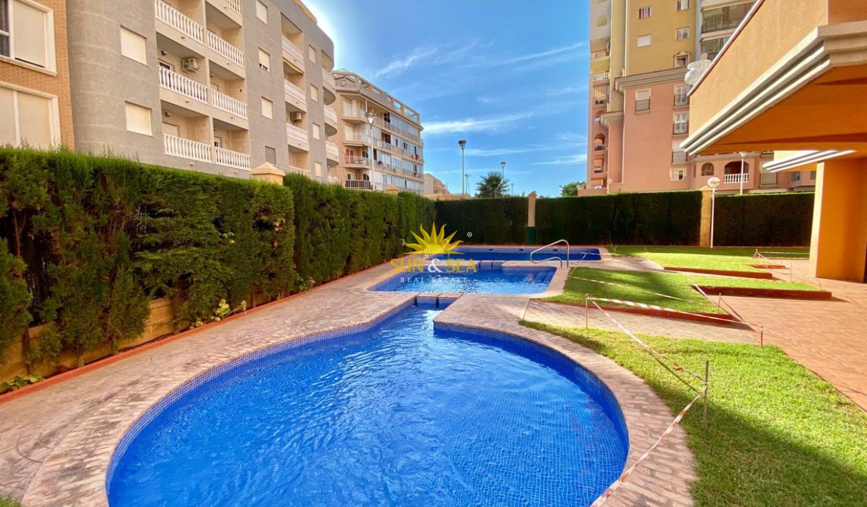 Long Term Rental - Apartment - Torrevieja - Playa de los Locos