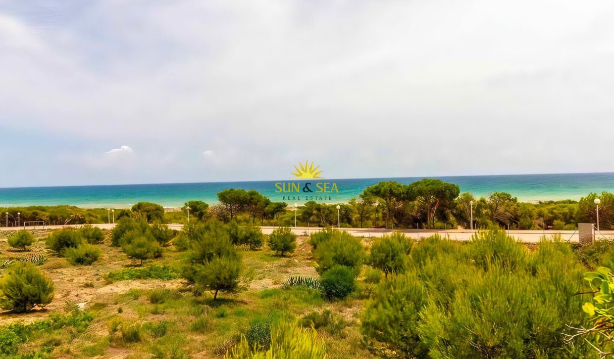 Location à long terme - Appartement - Guardamar del Segura - GUARMAR DEL SEGURA