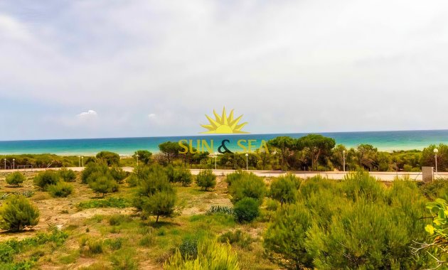 Location à long terme - Appartement - Guardamar del Segura - GUARMAR DEL SEGURA