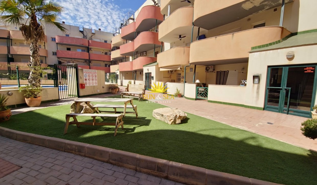Location à long terme - Appartement - Almoradí