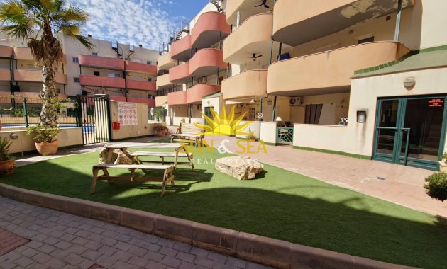Location à long terme - Appartement - Almoradí