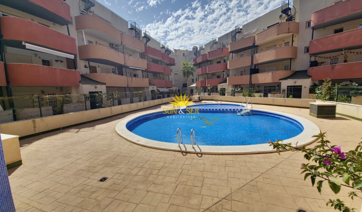 Location à long terme - Appartement - Almoradí