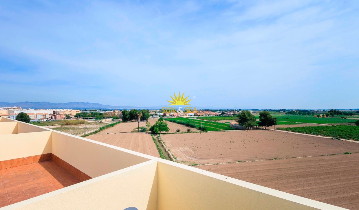 Location à long terme - Penthouse - Almoradí