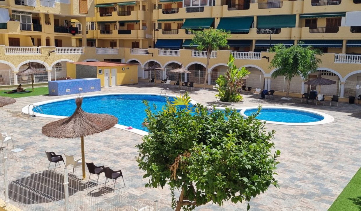 Long Term Rental - Studio apartment - Torrevieja - La Mata