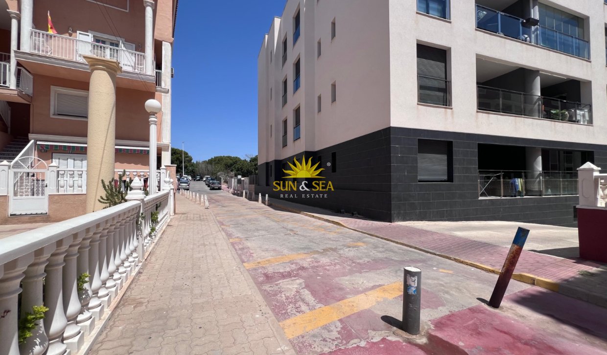 Long Term Rental - Penthouse - Torrevieja - La Mata