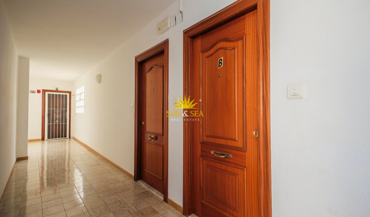 Location à long terme - Appartement - Torrevieja - Playa del Cura