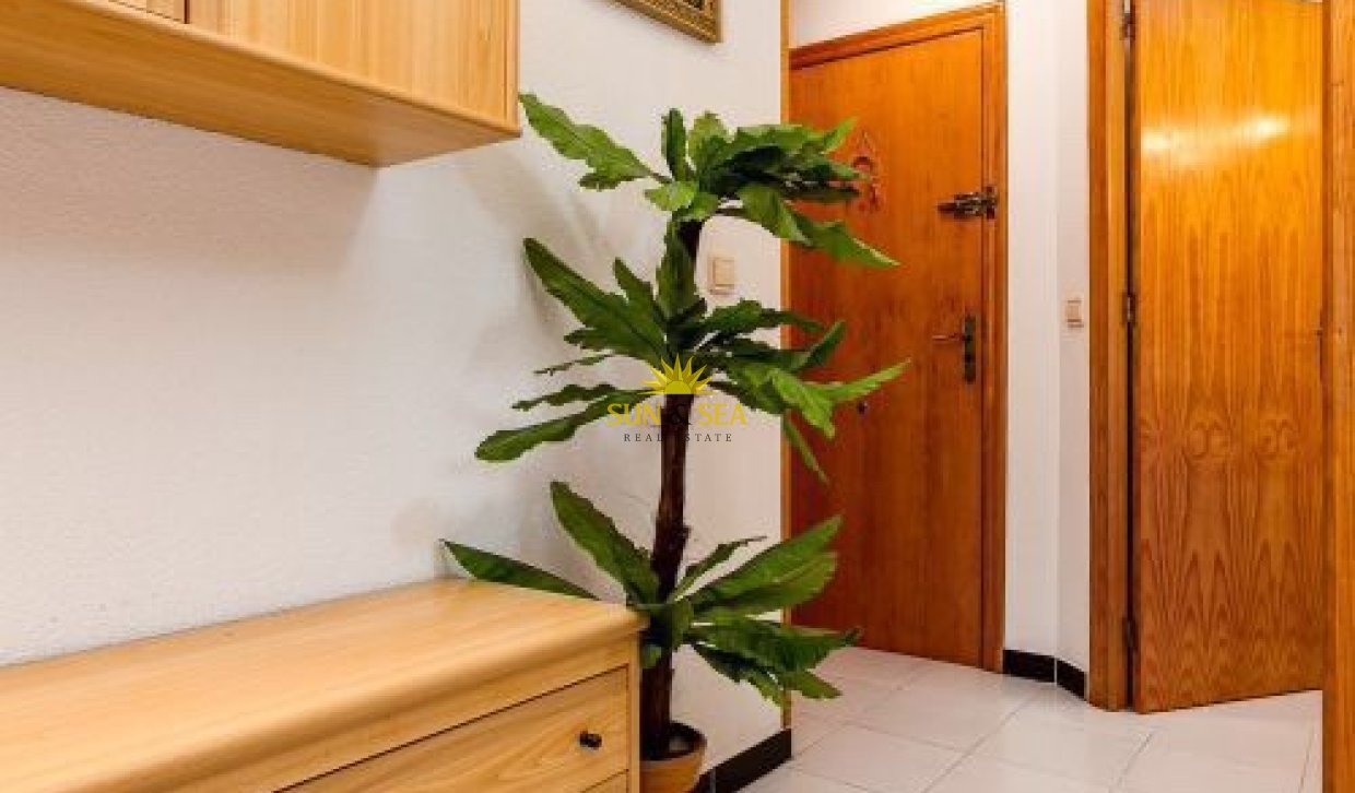 Long Term Rental - Apartment - Torrevieja - Playa de los Locos