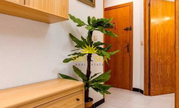 Long Term Rental - Apartment - Torrevieja - Playa de los Locos