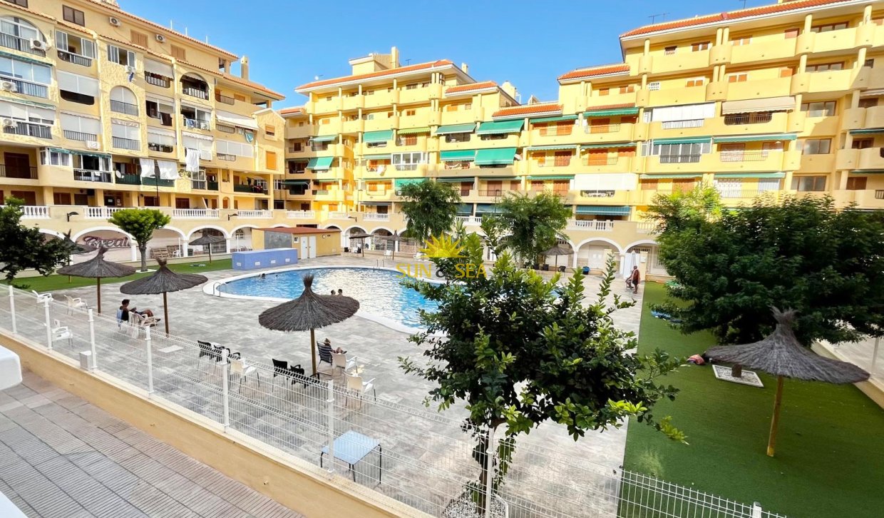 Long Term Rental - Studio apartment - Torrevieja - La Mata