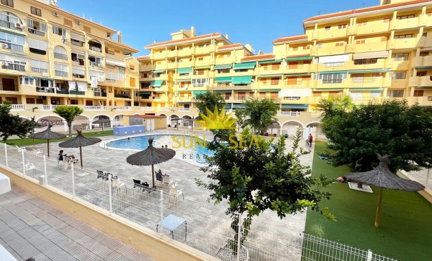 Long Term Rental - Studio apartment - Torrevieja - La Mata