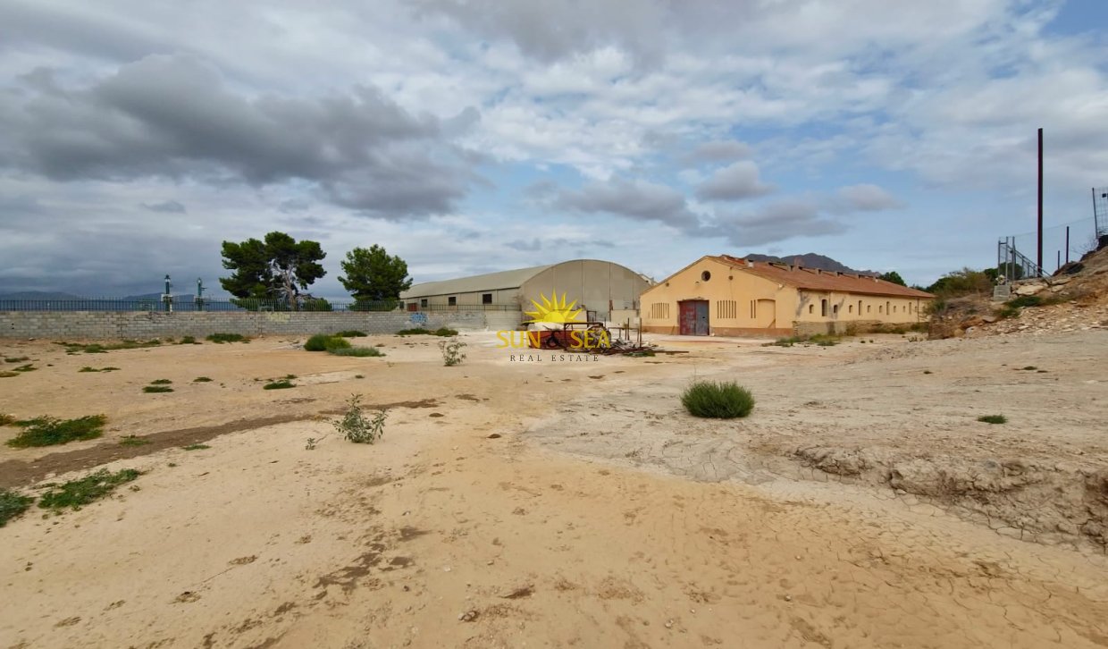 Resale - Plot - Orihuela