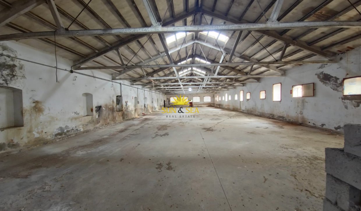 Resale - Plot - Orihuela