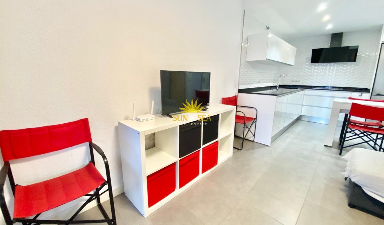 Winter rental - Studio apartment - Pilar de la Horadada - La Torre de la Horadada